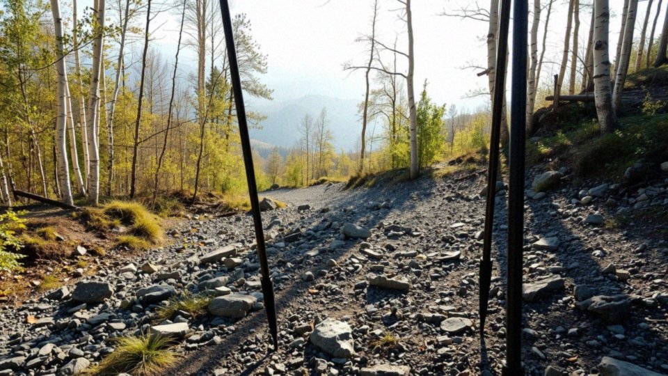 Jakie korzyści płyną z użycia kijków trekkingowych?