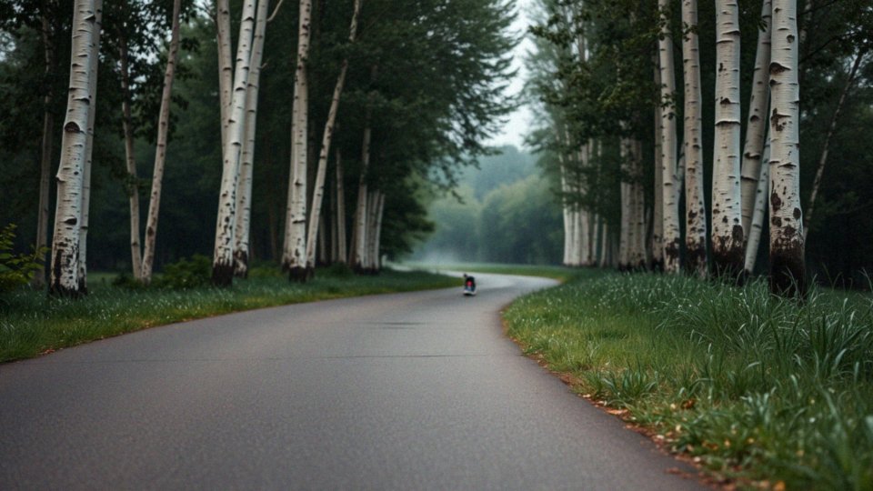 Jak trening cardio wpływa na odchudzanie?