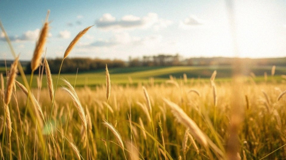 Jak głębokie wdechy mogą pomóc w rozluźnieniu przepony?