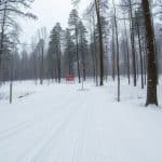Biathlon – wszystko, co musisz wiedzieć o tej zimowej dyscyplinie