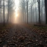 Bieganie na czczo – korzyści, zasady i ryzyka związane z treningiem