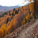 Gdzie w góry na jeden dzień? Polecane trasy i atrakcje