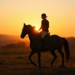 Ile kalorii spala jazda konna? Sprawdź efekty jazdy konnej