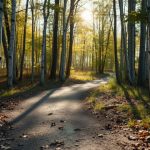 Ile można schudnąć biegając? Skuteczny plan na odchudzanie