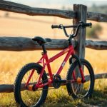 Jak dobrać rower dla dziecka? Poradnik dla rodziców