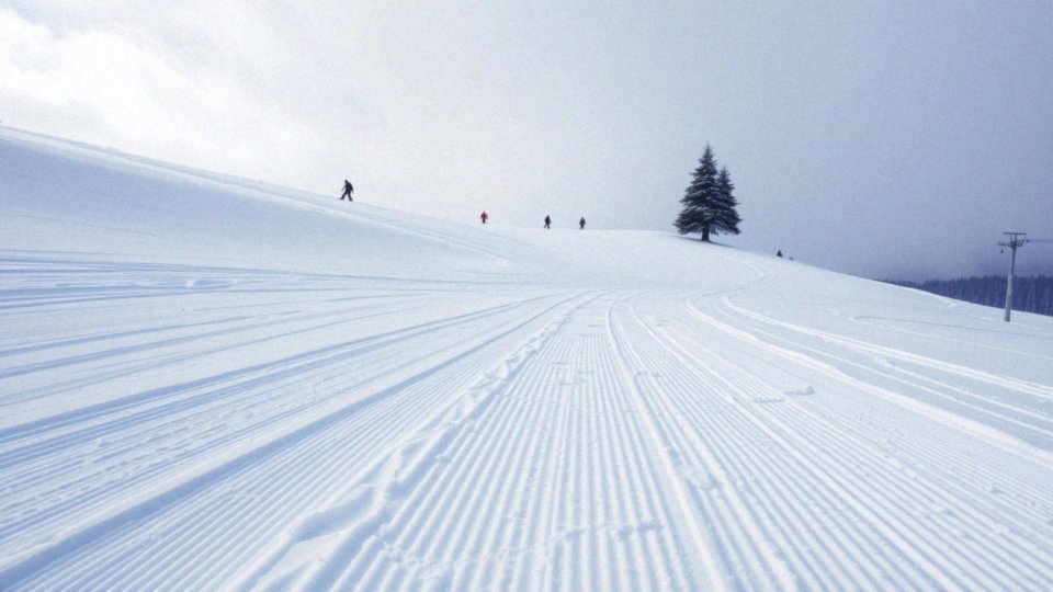 Jazda na nartach ile kalorii – sprawdź, ile spalasz na stoku!
