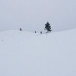 Narciarstwo – odkryj różnorodność stylów i zasady bezpieczeństwa