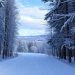 Narciarstwo biegowe – wprowadzenie i korzyści z uprawiania