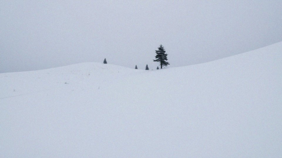 Narciarstwo – odkryj różnorodność stylów i zasady bezpieczeństwa